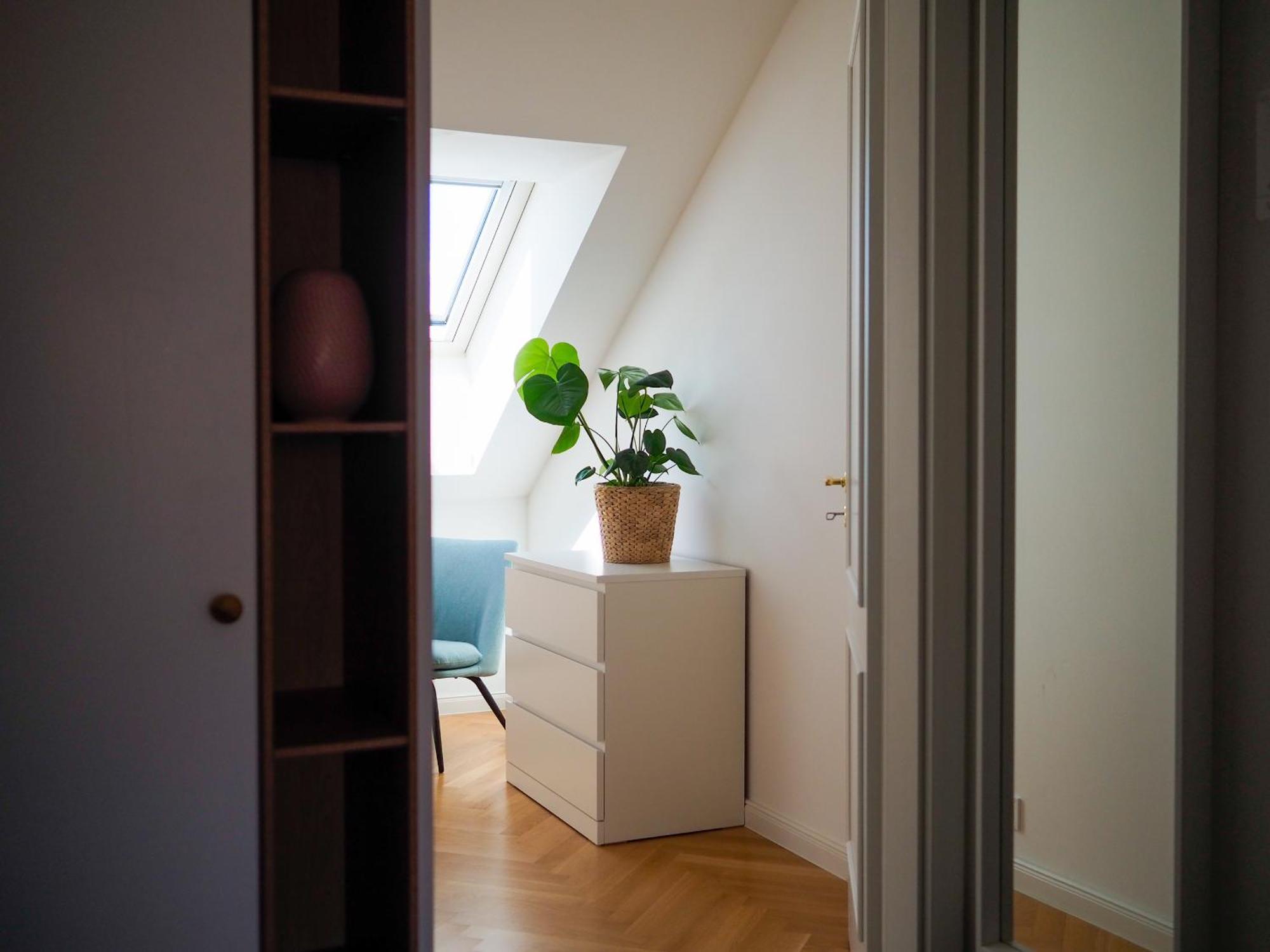 Apartment Terrace